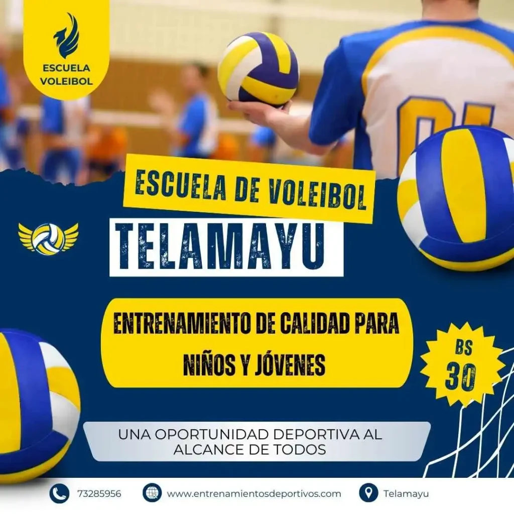 Escuela de voleibol Telamayu: Entrenamiento de calidad para niños y jóvenes